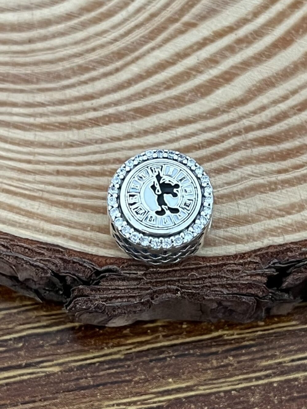 Pandora Disneyland Travel Bead Charm S925 Silver Charm